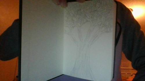 Like my sketch if not why ?
sorry that its hard to see lol