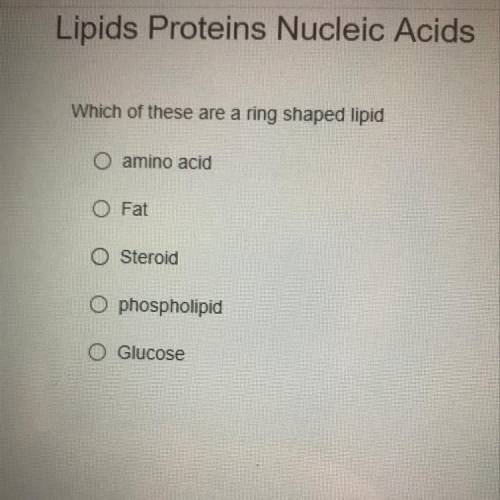 Which of these are a ring shaped lipid?

- Amino acid
- Fat
- Steroid
- Phospholipid
- Glucose