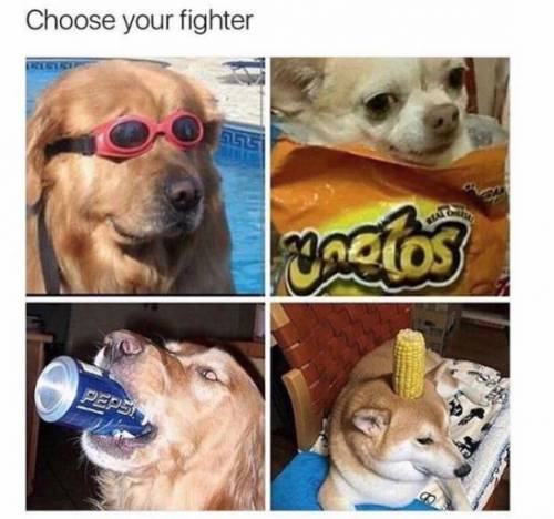 Choose a Fighter U>U