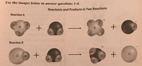 Which is one of the reactants in Reaction A?

Group of answer choices
copper
water
silver
sodium