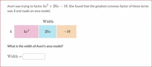 What is the width of Averi's area model? (See picture)