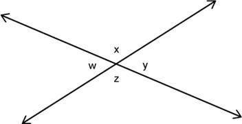 Consider the intersecting lines shown. Which of the following statements is true?

Question 10 opt
