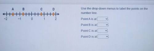 A B С D Use the drop-down menus to label the points on the number line. tittit -2 -1 0 1 2 Point Ai
