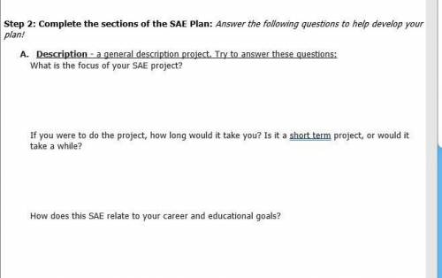 What is the focus of your SAE project?