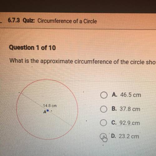 What is the approximate circumference of the circle shown below￼