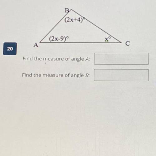 Find the measure of angle A:
find the measure of angle B: