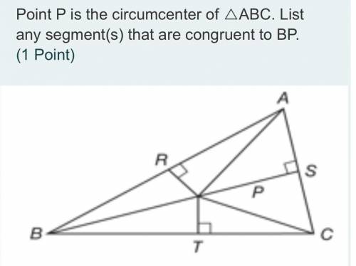 Point P is the circumcenter of △ABC. List any segment(s) that are congruent to BP.