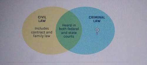 Which phrase best completes the diagram? CIVIL LAW CRIMINAL LAW Includes contract and family law He