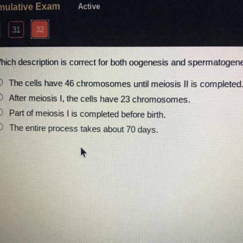 Hurryyyyyy plz Which description is correct for both oogenesis and spermatogenesis?