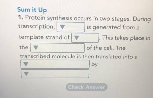 Can anyone help me in these 5 blanks!!

1) tRNA, DNA, mRNA
which one?
2) tRNA, DNA, mRNA
which one