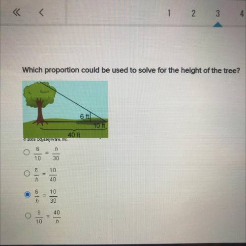 Which proportion could be used to solve for the height of the tree?

6 ft
10 ft
40 ft
6/10=h/30
30