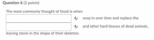 Question 6 options:

The most commonly thought of fossil is when (blank)
seep in over time and rep