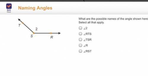 What are the possible names of the angle shown here? Select all that apply.

Angle2
AngleRTS
Angle