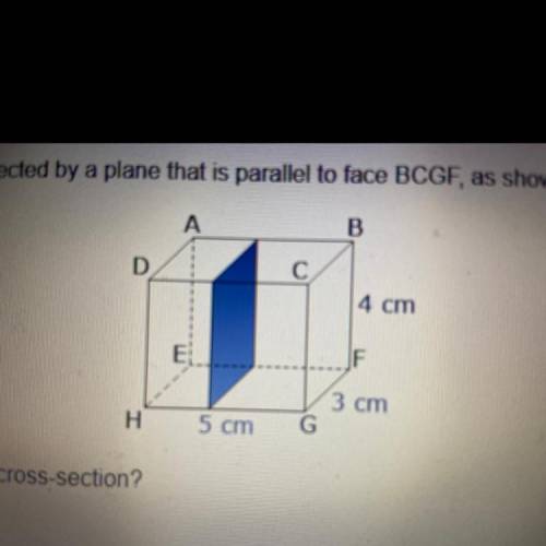The rectangular prism below is intersected by a plane that is parallel to face BCGF as shown which