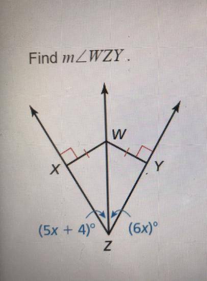 Find WZY. (helpp fast)