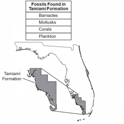 The diagram shows where a rock layer called the Tamiami Formation exists in Florida. The table list