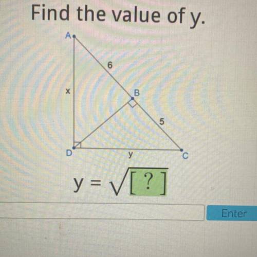 Find the value of y.
Y=
