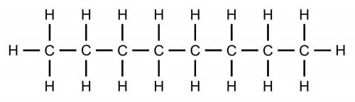 Study the hydrocarbon below. Describe the shape, chain structure, and saturation of the molecule. A