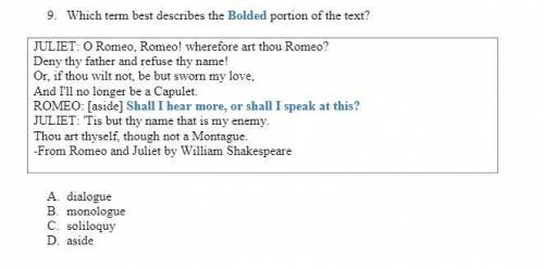Which term best describes the BOLDED portion of the text?

A. dialogue
B. monologue
C. soliloquy
D