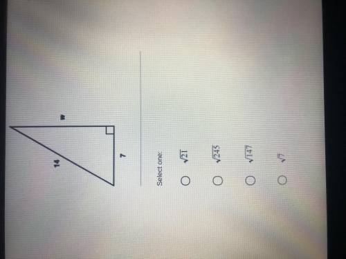 What is the value of w?...