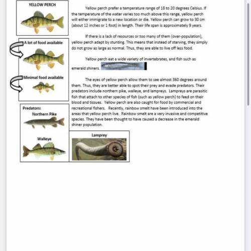 1) Identify and Explain 2 limiting factors that can affect the Yellow Perch population using

info