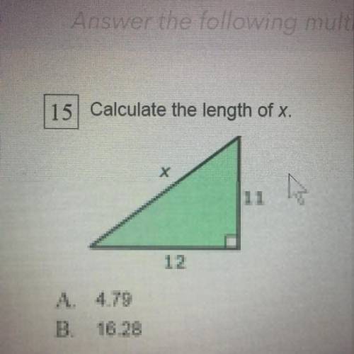Calculate the length of x.