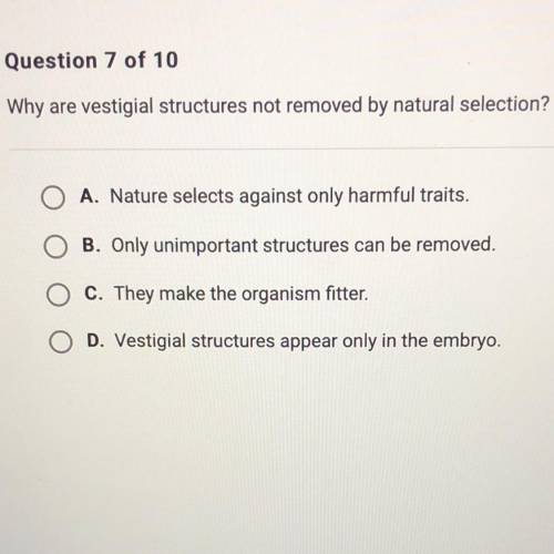 Why are vestigial structures not removed by natural selection?