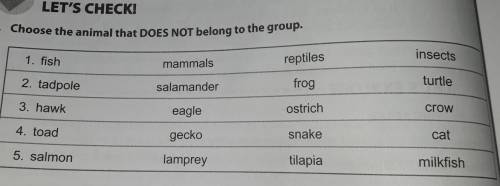Choose the animal that DOES NOT belong to the group.

reptilesinsects1. fishmammalsturtlefrogsalam