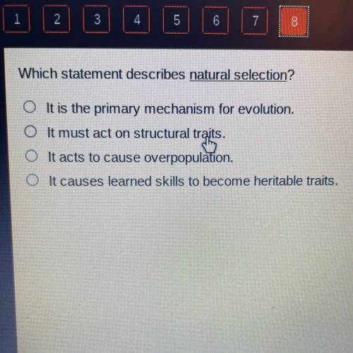 Which statement describes natural selection?