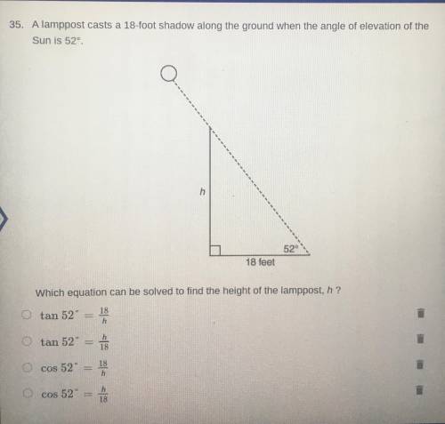Need help please?? Triangle angle