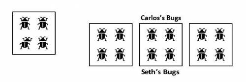 2. Carlos and Seth are catching bugs. The picture shows the number of bugs that Carlos has and the