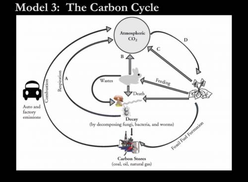 List the process(es) you see in the model that take carbon dioxide OUT of the atmosphere.
Help:)
