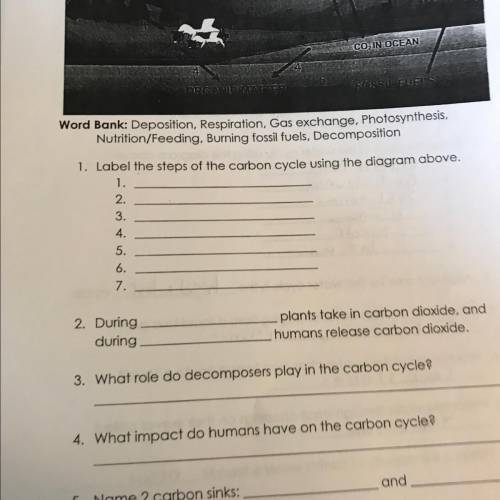 Label the steps of the carbon cycle diagram above