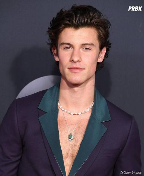 Shawn Mendes is the hottest guy on earth