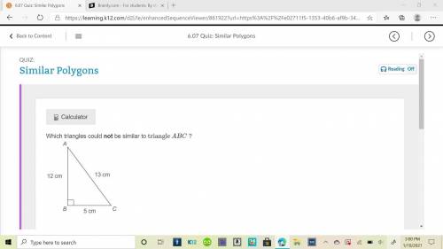 Which triangles could not be similar to triangle ABC ?

triangle a b c with right angle b. side a