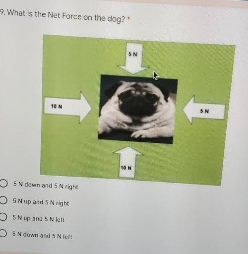 What is the netforce of the dog thanks!