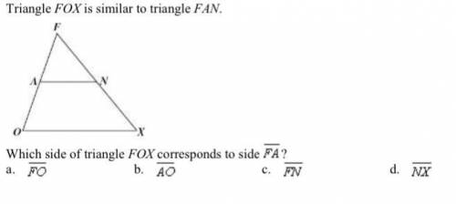 Please someone help me . Which side of triangle FOX corresponds to the side FA?
