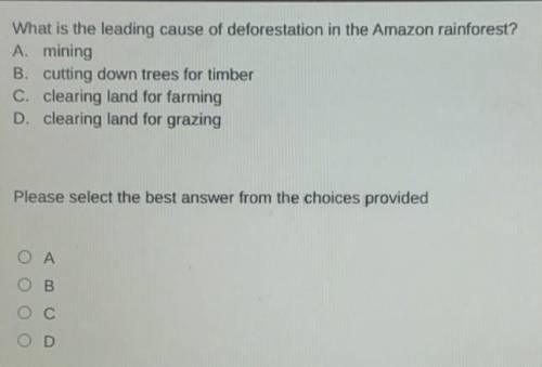What is the leading cause of deforestation in the Amazon rainforest? A. mining B. cutting down tree