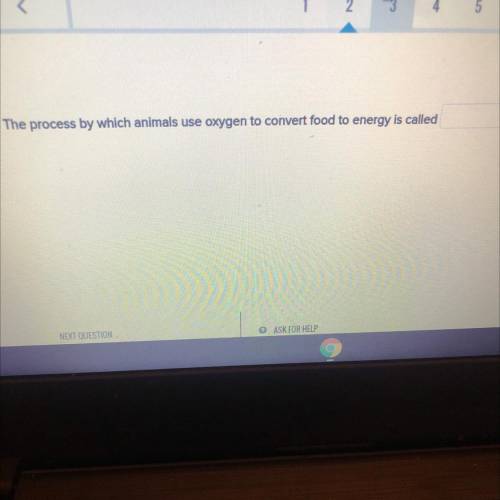I need some help on this question