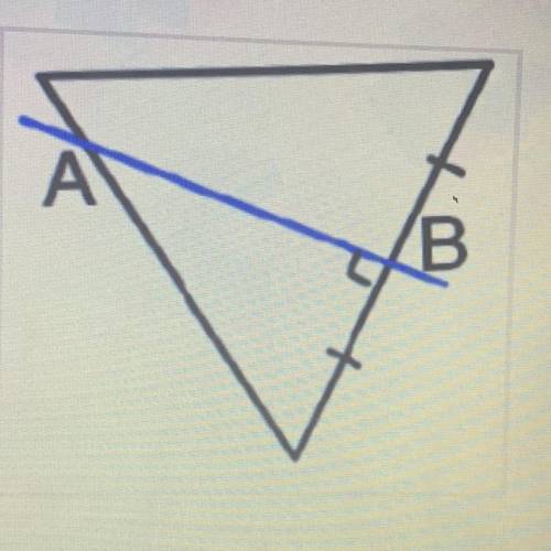 What does the blue line in the image represent?

B
Altitude
Angle Bisector
Perpendicular Bisector