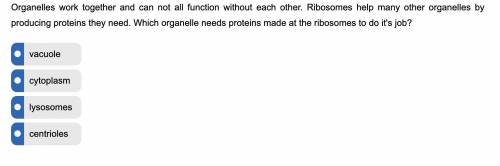 Organelles work together and can not all function without each other. Ribosomes help many other org