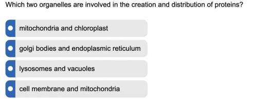 Which two organelles are involved in the creation and distribution of proteins?