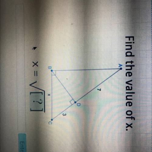 Find the value of x.
X = 
plz help !!