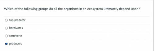 Which of the following groups do all the organisms in an ecosystem ultimately depend upon?