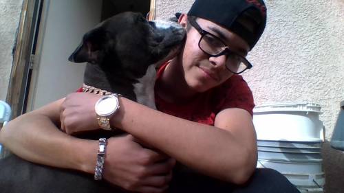 My pibull i lover her a lot