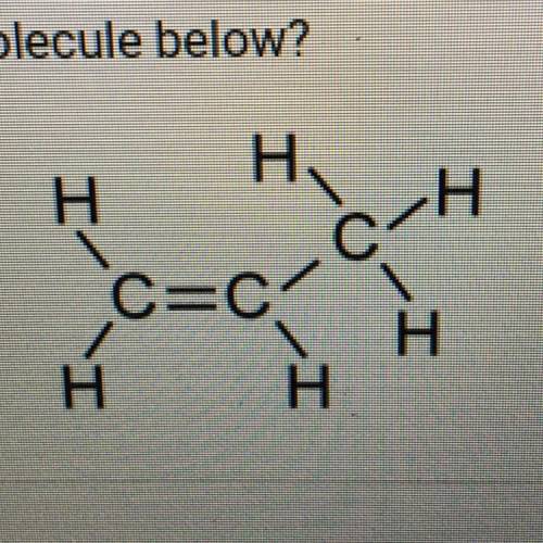 What is the name of the molecule below?
A. Propene
B. Propane
C. Ethene
D. Ethane