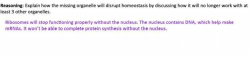 Help please!

I already did 1 organelle which is ribosomes, I need explanation of how any other tw