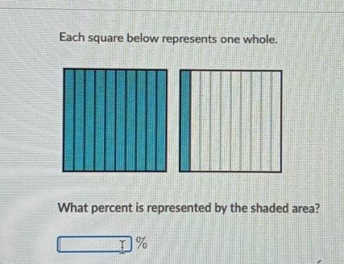 Each square below represents one whole. What percent is represented by the shaded area? %