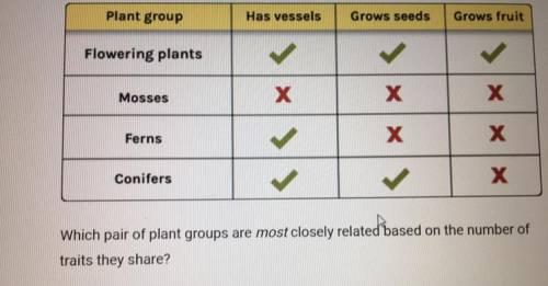 Which pair of plant groups are most closely related based on the number of

traits they share?
A.