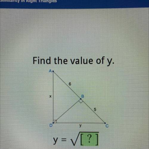 Find the value of y.
y= ?